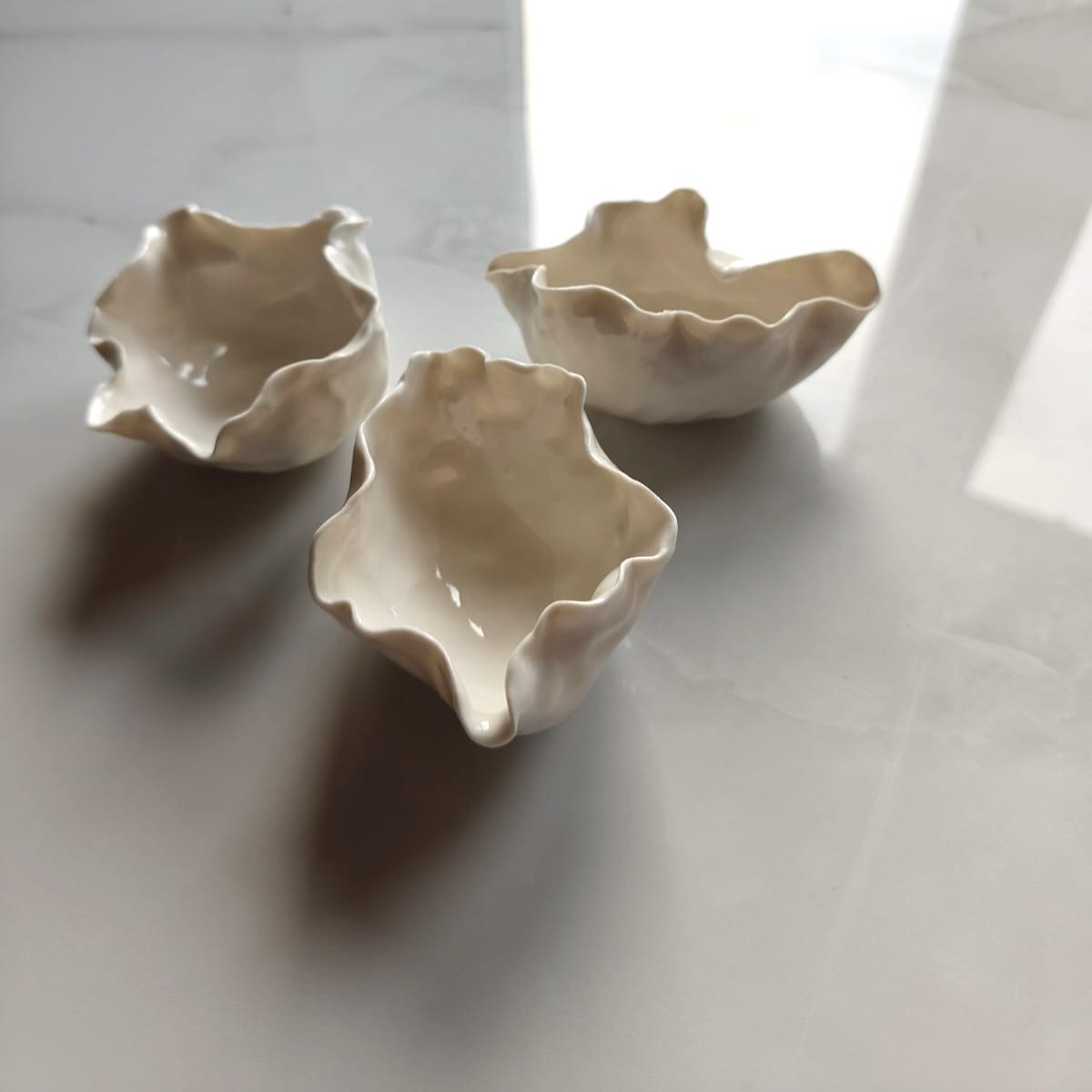 mlecznik, porcelanowy - obrazek 6