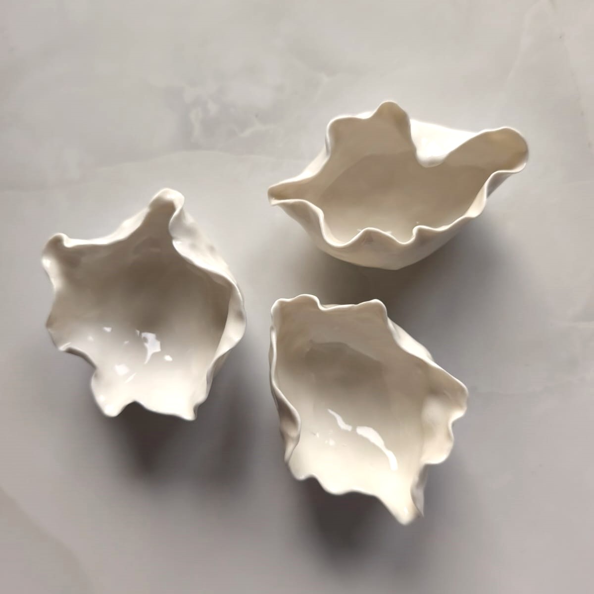 mlecznik, porcelanowy