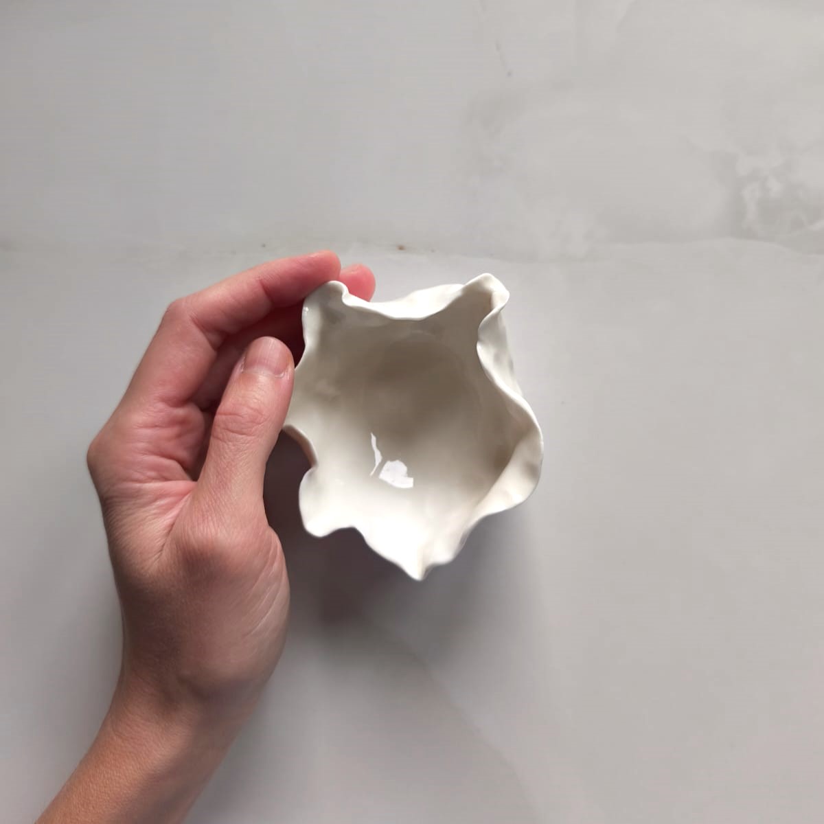 mlecznik, porcelanowy - obrazek 4