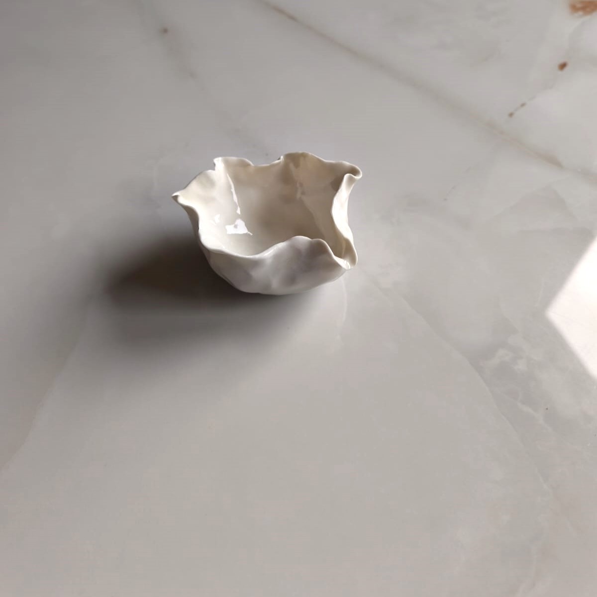 mlecznik, porcelanowy - obrazek 5